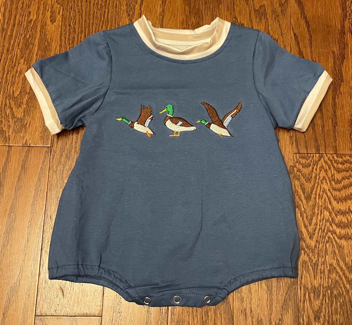 Mallard ducks boy bubble